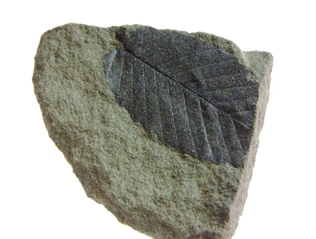e0290546_18381293.jpg