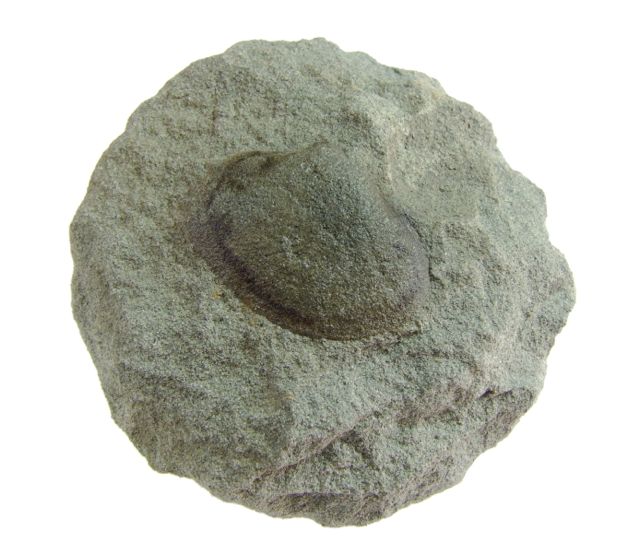 e0290546_1838335.jpg