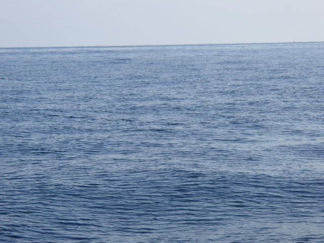 a0248152_1910560.jpg