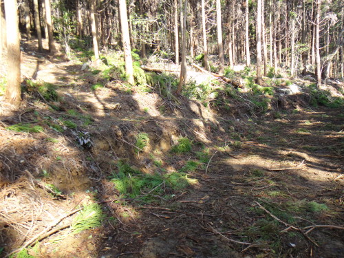 c0256558_7125439.jpg