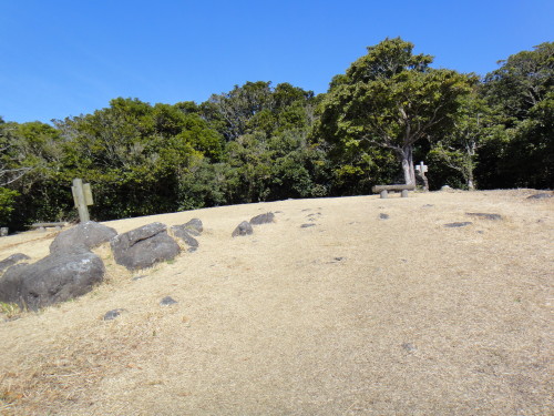 c0256558_718284.jpg