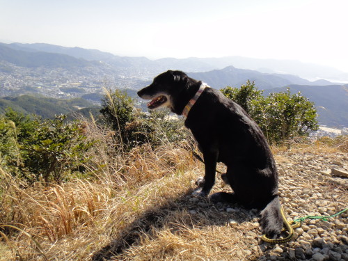 c0256558_7281790.jpg