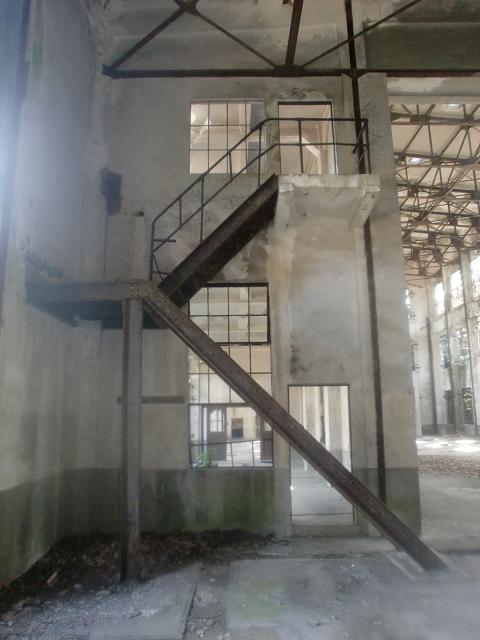 c0172261_965475.jpg