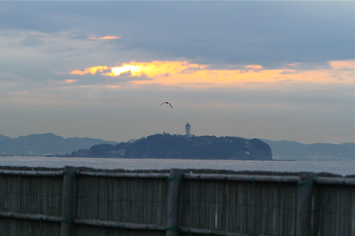 a0157069_7403492.jpg