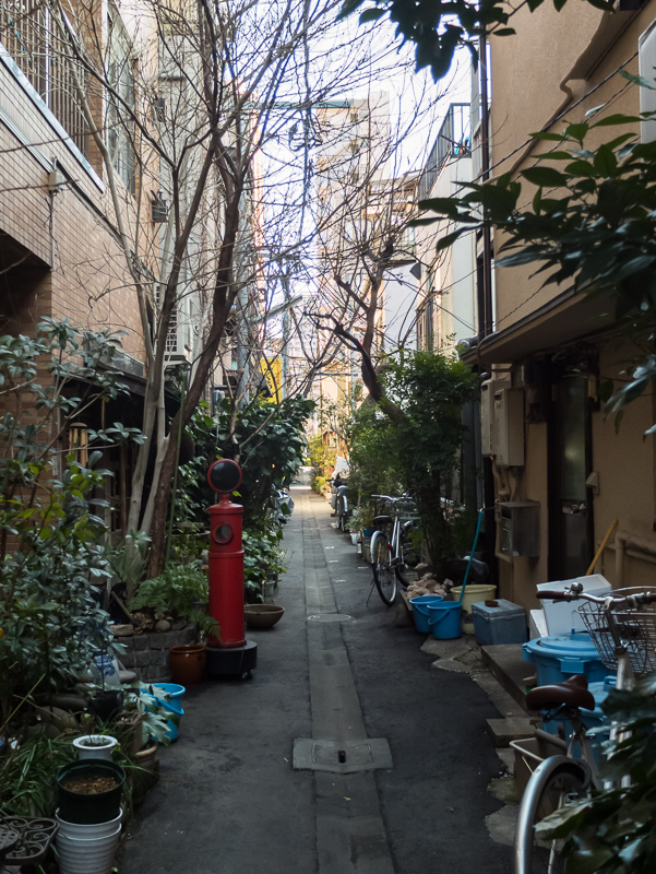c0180881_9532100.jpg