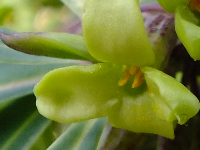 e0145782_20352243.jpg