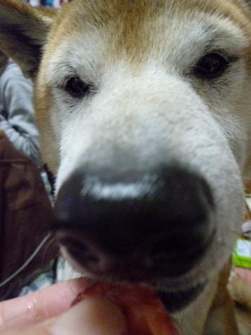c0123890_2135361.jpg