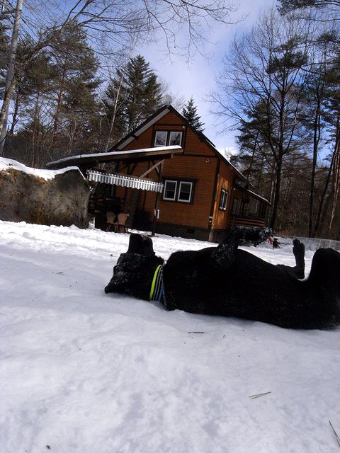 a0093592_05528.jpg