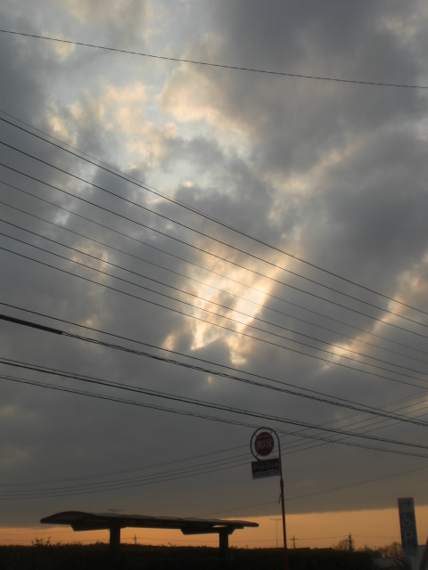 c0054498_017562.jpg