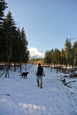 a0134004_9415321.jpg