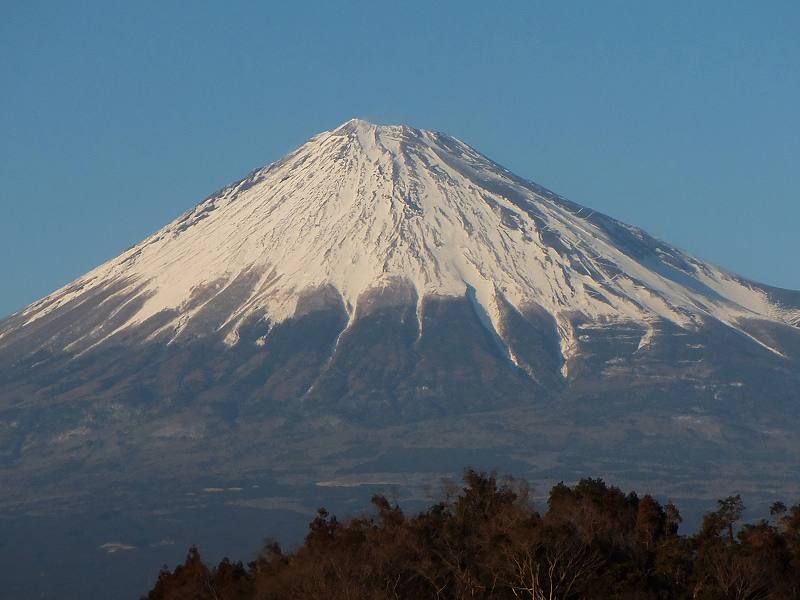 a0188405_8544899.jpg