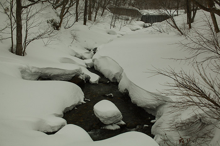 a0148606_22562225.jpg
