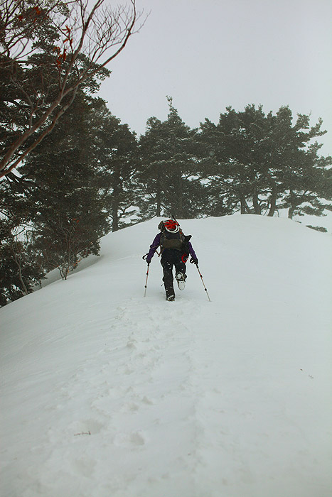 a0148606_22573371.jpg