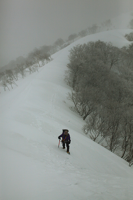 a0148606_2305314.jpg