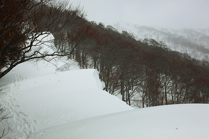 a0148606_2310698.jpg