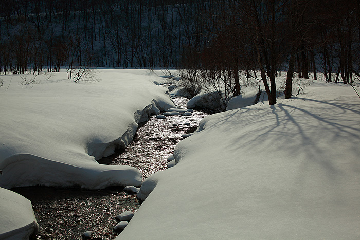a0148606_23125196.jpg