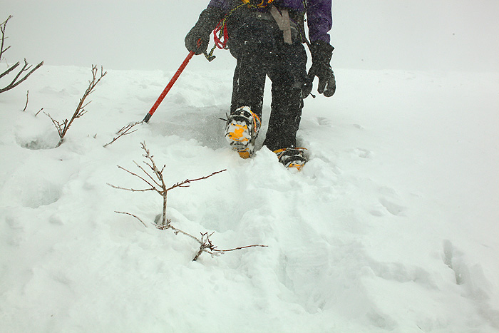 a0148606_2344857.jpg