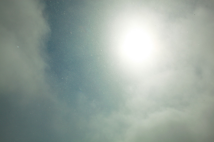 a0148606_2351620.jpg