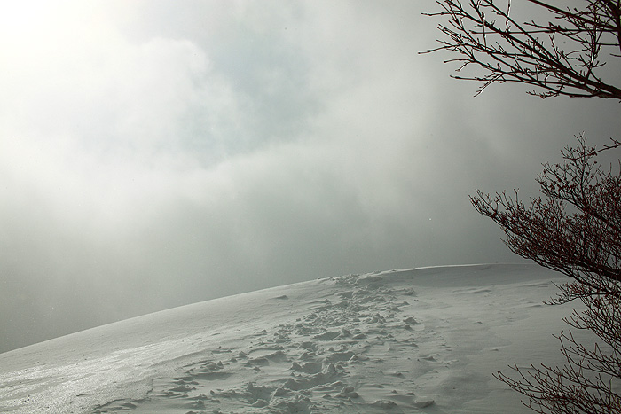 a0148606_2374576.jpg