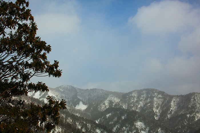 a0148606_2393091.jpg