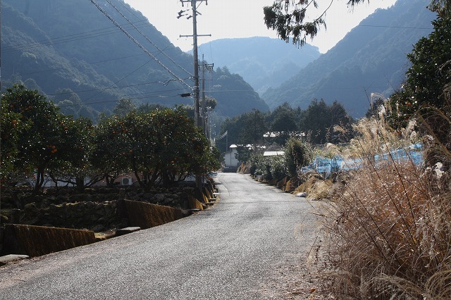 d0154609_11161714.jpg