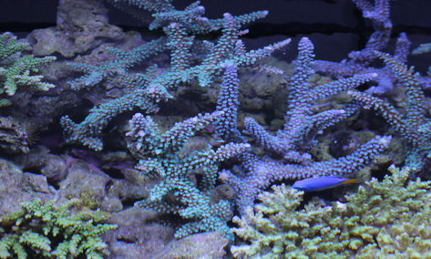 d0221436_2134983.jpg