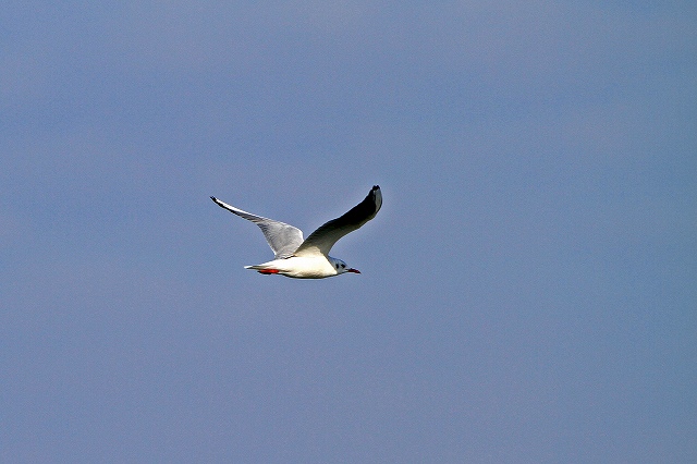 a0242438_1950431.jpg