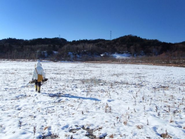 e0290546_17134918.jpg