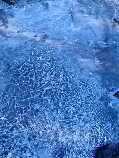 e0290546_1722890.jpg