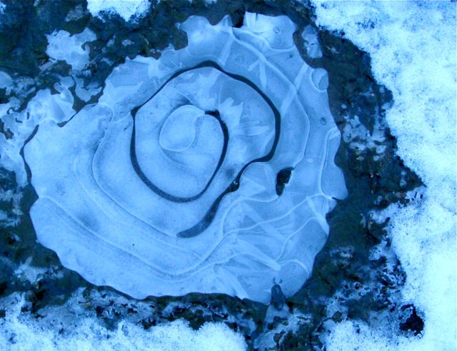 e0290546_1723714.jpg