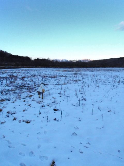 e0290546_17533100.jpg