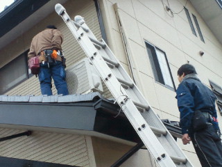 e0150849_1714821.jpg