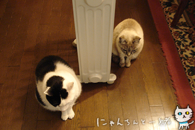 e0031853_129330.jpg