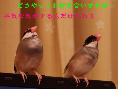 b0158061_22411758.jpg