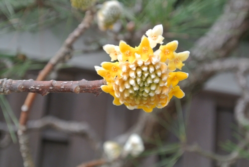 b0141664_23453960.jpg