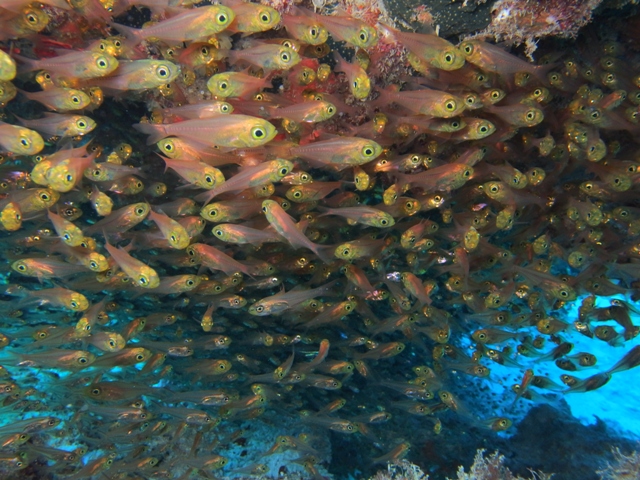b0138768_0142224.jpg