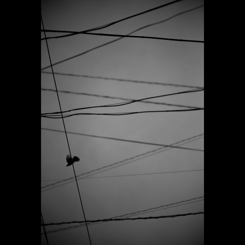 c0118173_16593287.jpg