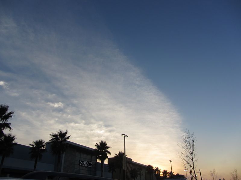 b0202185_17223620.jpg