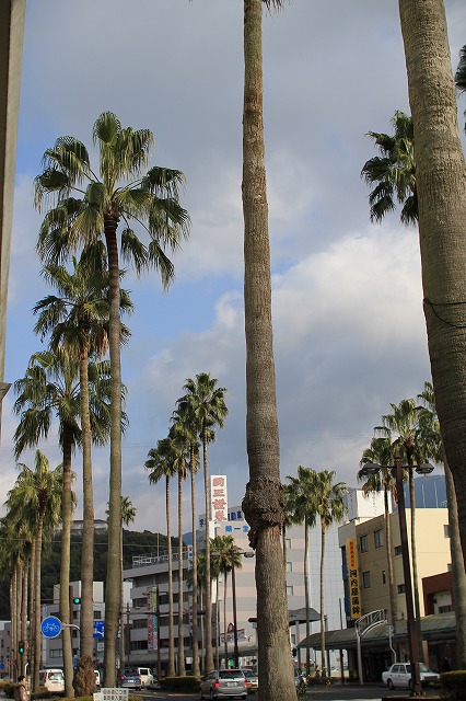 b0238886_9393967.jpg