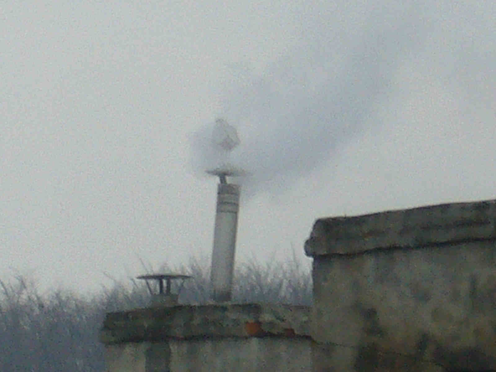 f0169397_7123642.jpg