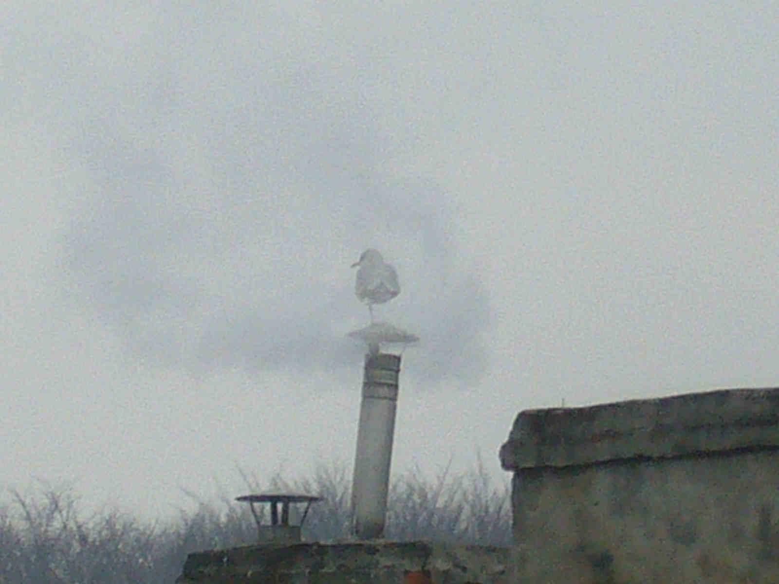 f0169397_7134100.jpg