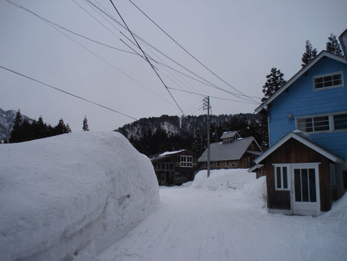 a0061599_7343124.jpg
