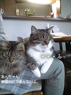 c0035001_15361120.jpg