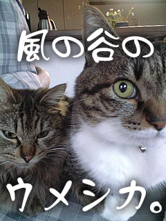 c0035001_15361846.jpg