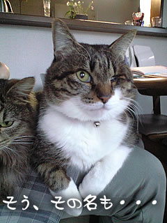 c0035001_15362126.jpg