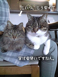c0035001_15362864.jpg