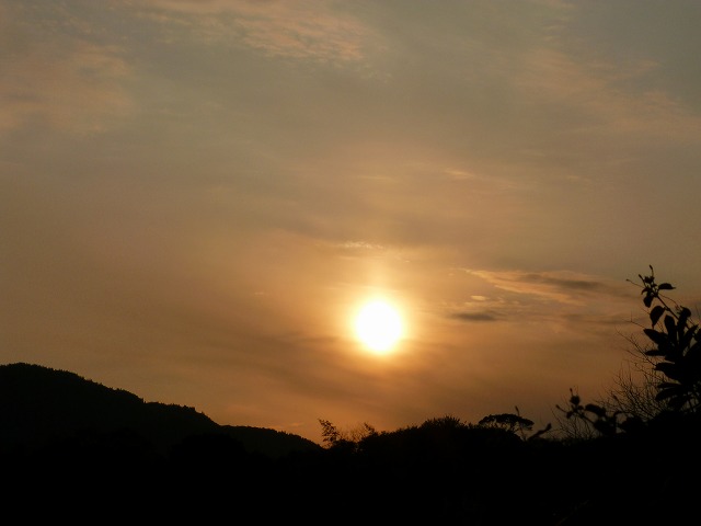 d0037110_23193863.jpg
