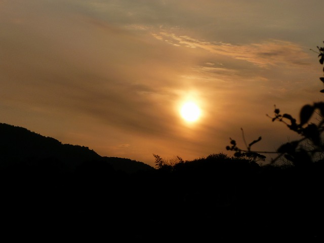 d0037110_23201410.jpg