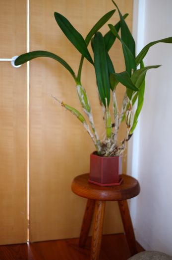 e0046212_011520.jpg