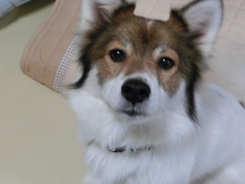 e0254813_1201094.jpg